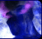 starcaft